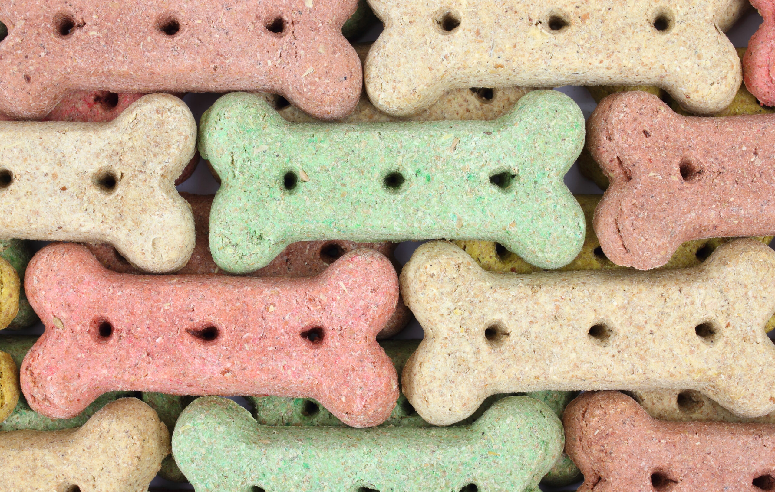 Dog cookies or biscuits used as reward